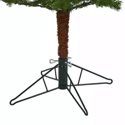 7.5 ft. Clear Lit Fairbanks Fir Christmas Tree