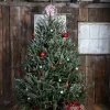 6 ft. Fresh Cut Fraser Fir Christmas Tree