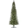 10 ft. Lit Narrow Jackson Pine Christmas Tree