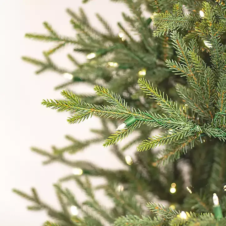 5.5 ft. Pre-Lit Itasca Fraser Christmas Tree
