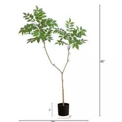 3.5 ft. Sumac Tree in Nursery Planter