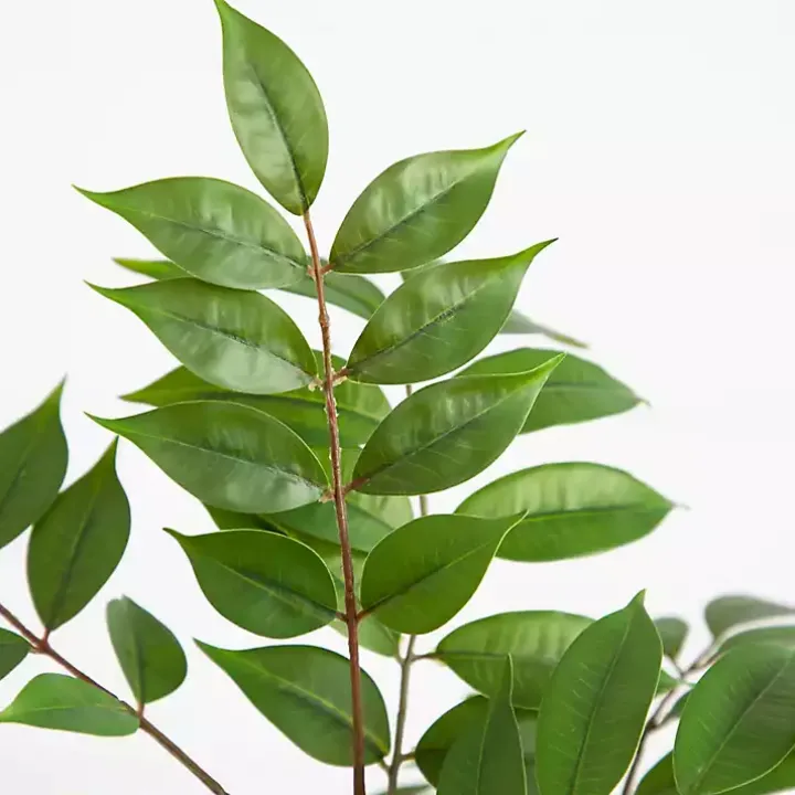 3.5 ft. Sumac Tree in Nursery Planter
