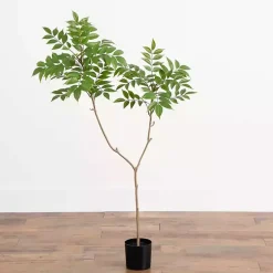 3.5 ft. Sumac Tree in Nursery Planter
