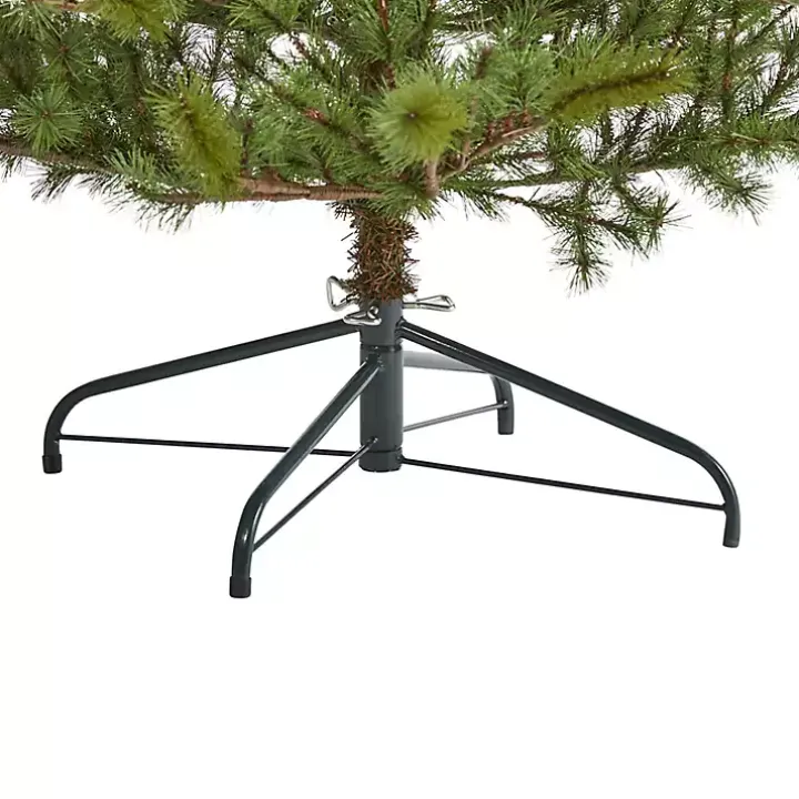 7 ft. Vancouver Mountain Pine Christmas Tree