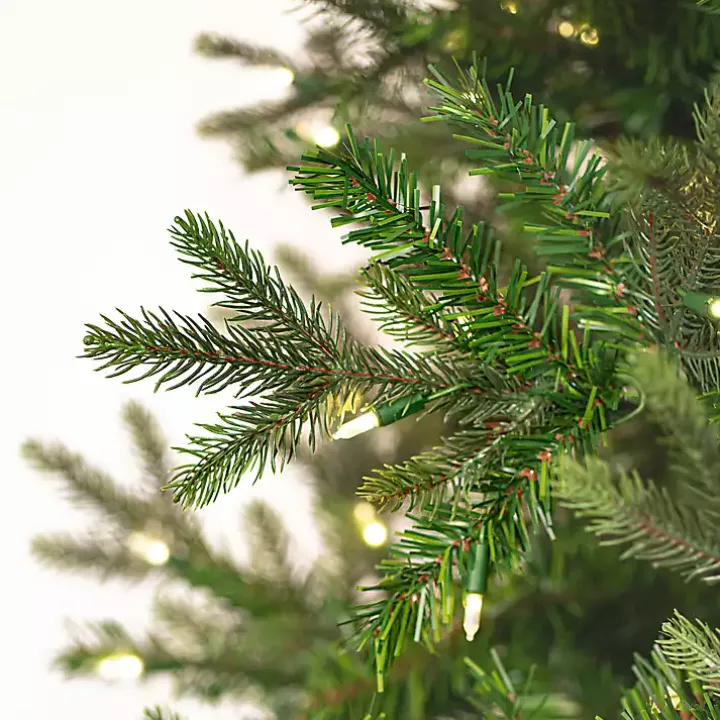 7.5 ft. Warm LED Douglas Fir Christmas Tree