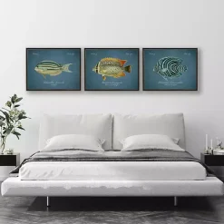 Angelfish Framed Wall Art