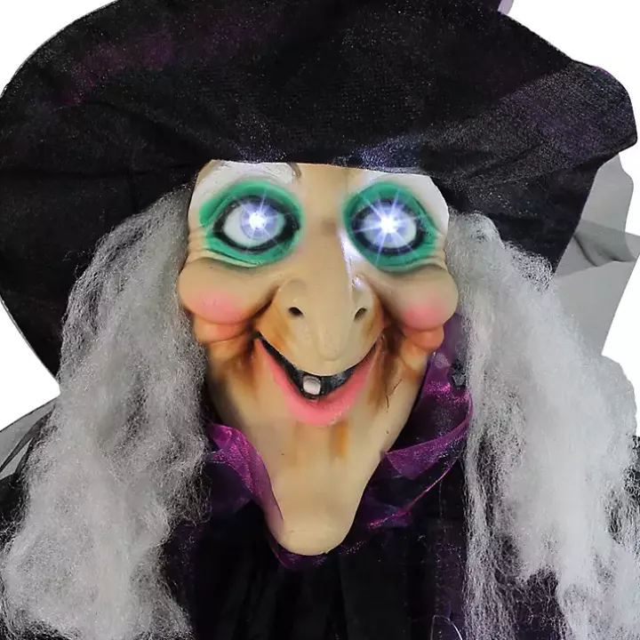Animated Witch Decoration