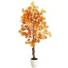 Autumn Maple Double Trunk Tree, 5 ft.