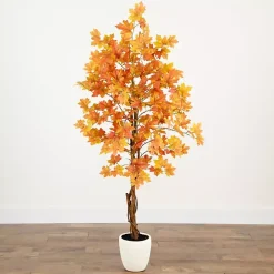Autumn Maple Double Trunk Tree, 5 ft.