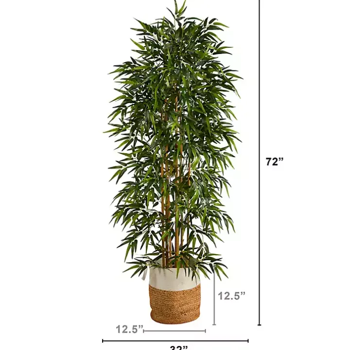 Bamboo Tree in Woven Basket, 6 ft.