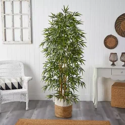 Bamboo Tree in Woven Basket, 6 ft.