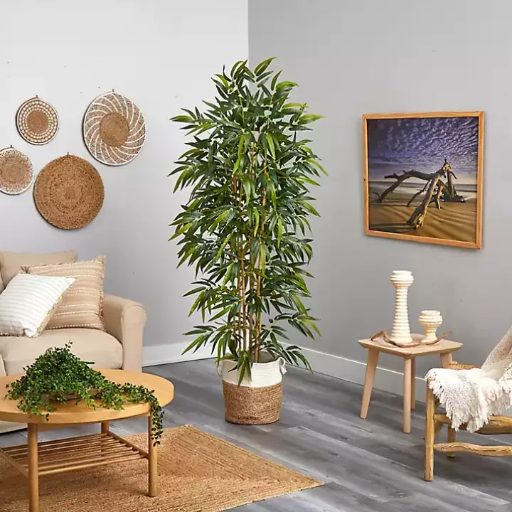 Bamboo Tree in Woven Basket, 6 ft.