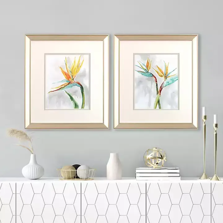 Bird of Paradise Framed Art Prints, Set of 2