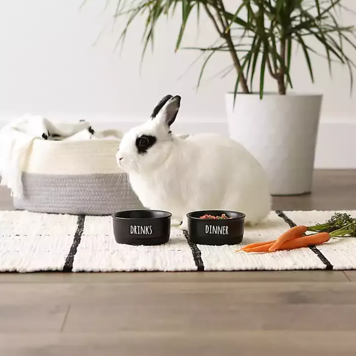 Black Dinner & Drinks 2-pc. Pet Bowl Set, 4 in.