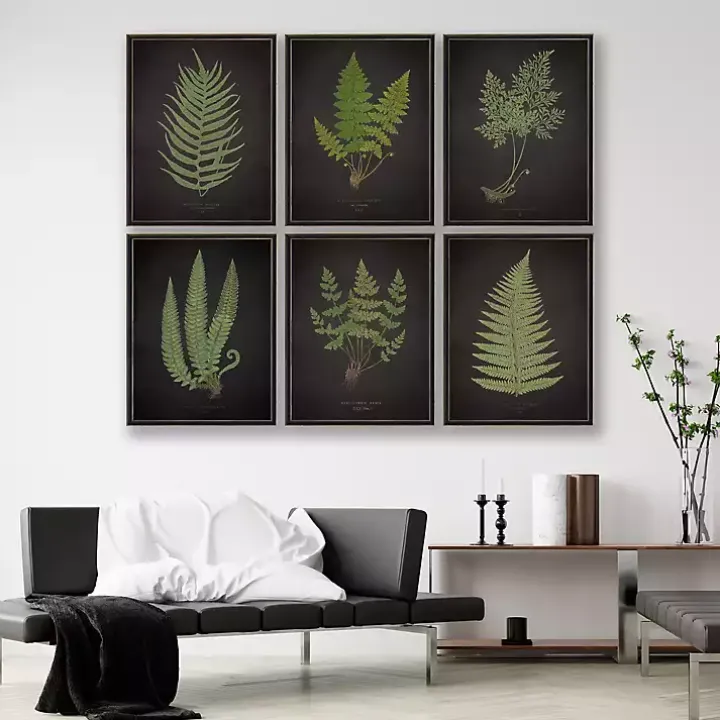 Black Fern I Framed Art Print