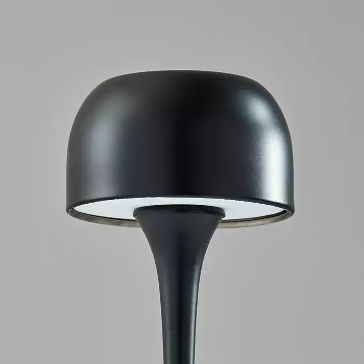 Black Tapered Dome Frosted Light Cordless Lamp
