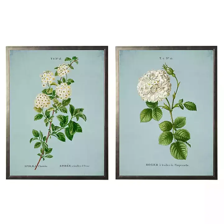 Blue Floral Diagram II Framed Art Prints, Set of 2