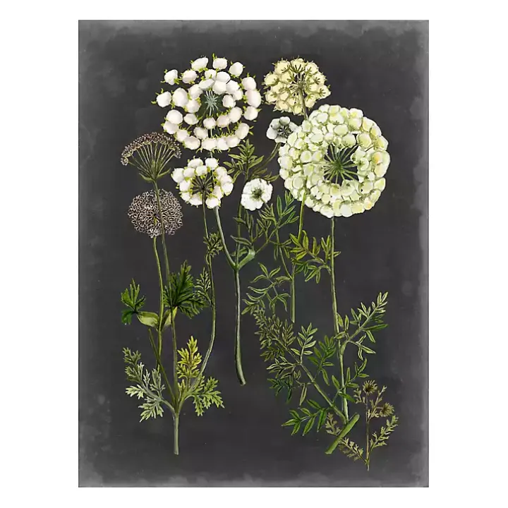 Bookplate Floral II Giclee Canvas Art Print
