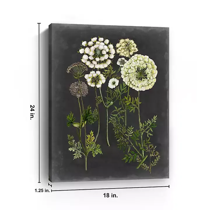 Bookplate Floral II Giclee Canvas Art Print