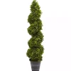 Boxwood Spiral Topiary, 48 in.