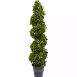 Boxwood Spiral Topiary, 48 in.