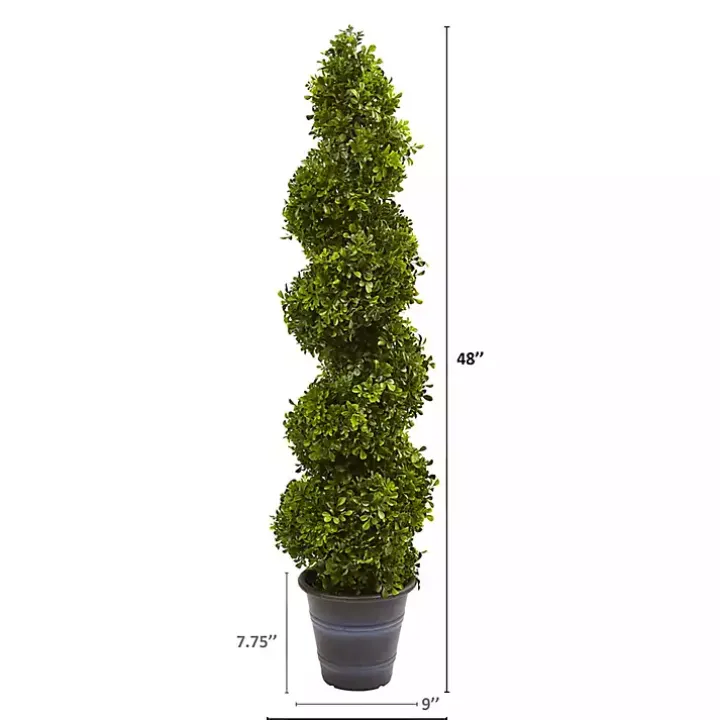 Boxwood Spiral Topiary, 48 in.