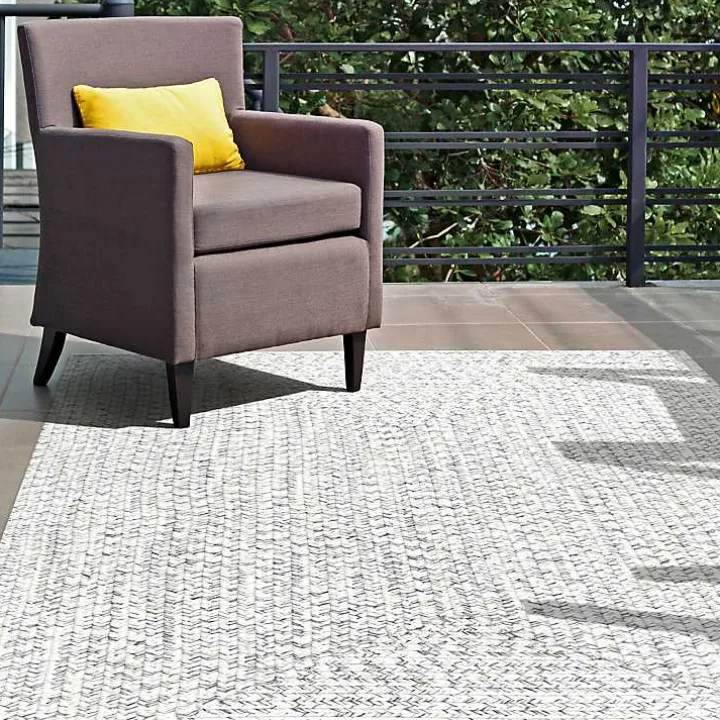 Braided Leah Indoor/Outdoor Area Rug, 7x9
