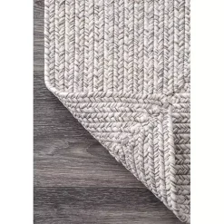 Braided Leah Indoor/Outdoor Area Rug, 3x5