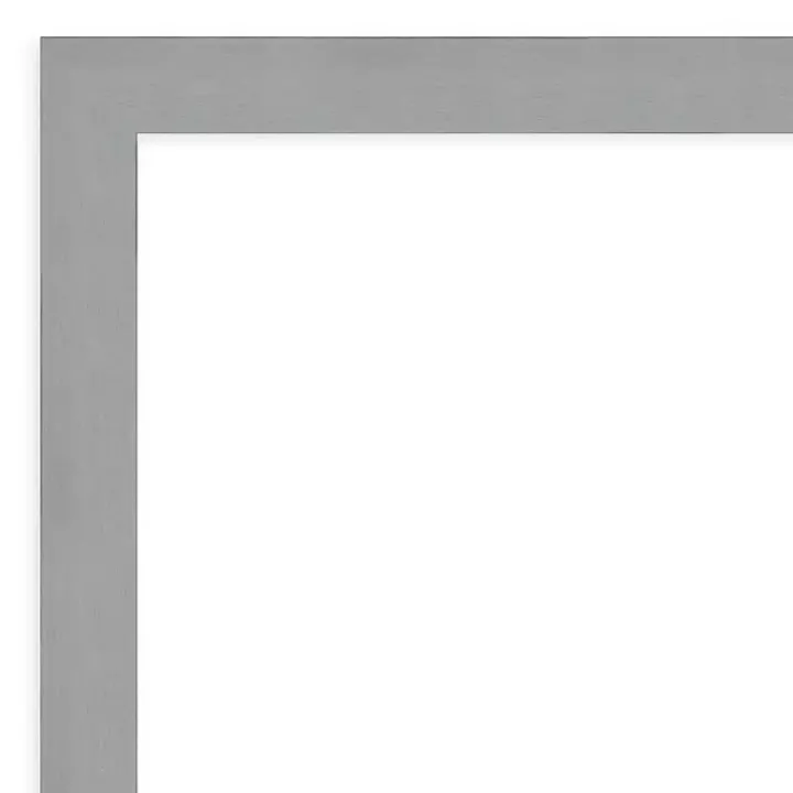 Brushed Metallic Silver Frame Beveled Mirror