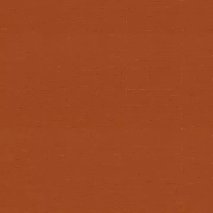 Burnt Orange Outdoor Chair Cushion