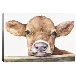 Calf Canvas Art Print, 26x18