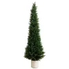 Cedar Tree in White Pot, 6 ft.