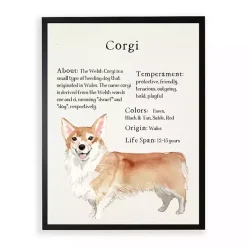 Corgi Facts Framed Wall Plaque