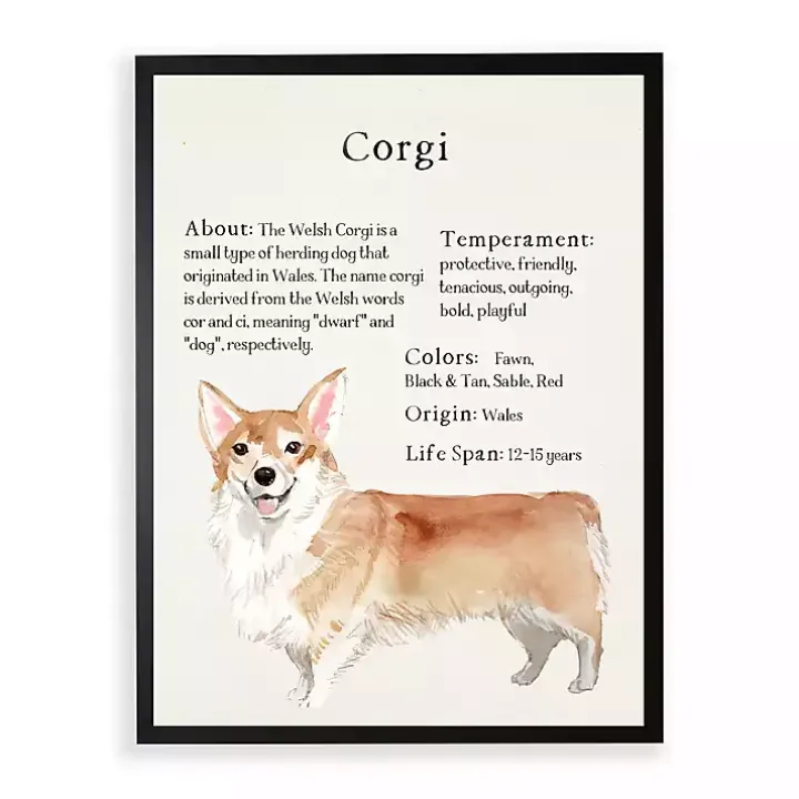 Corgi Facts Framed Wall Plaque