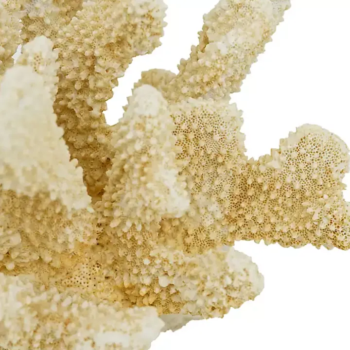 Cream Coral Resin Statue