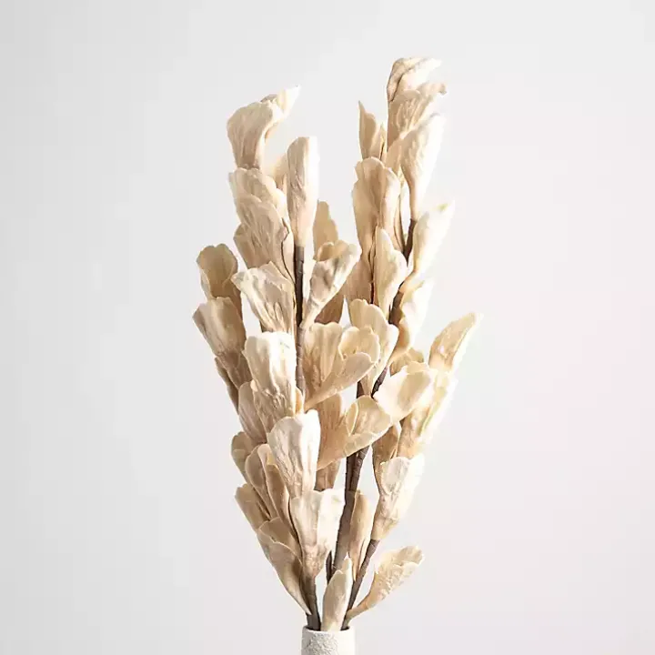 Cream Shell Leaf Stem