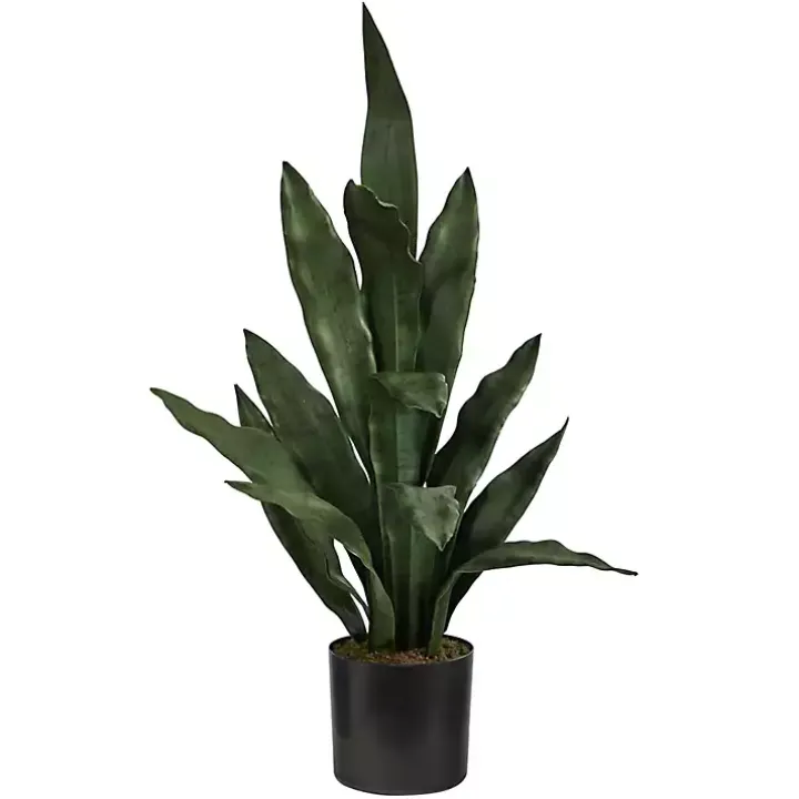Dark Green Sansevieria in Nursery Planter, 24 in.