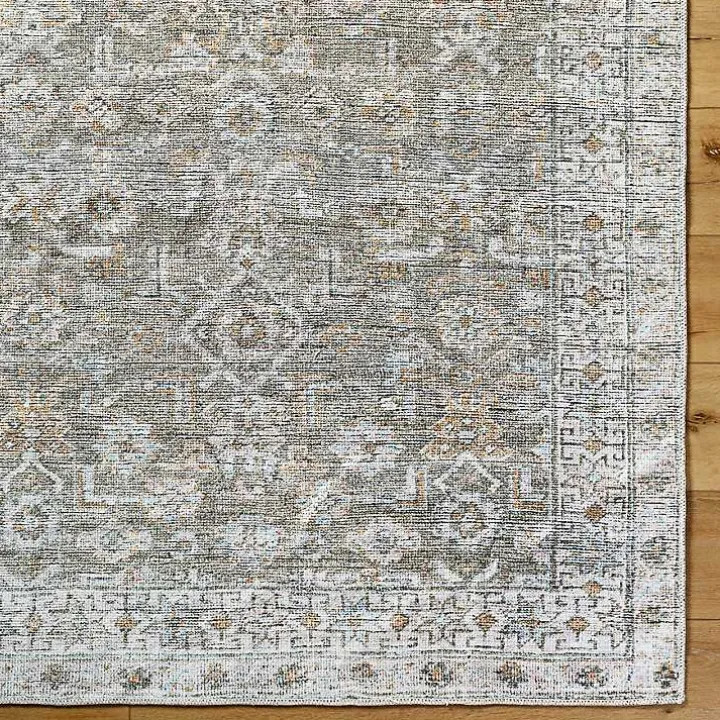 Darling Traditional Washable Area Rug, 5x7