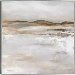 Desert Floor Framed Canvas Art Print