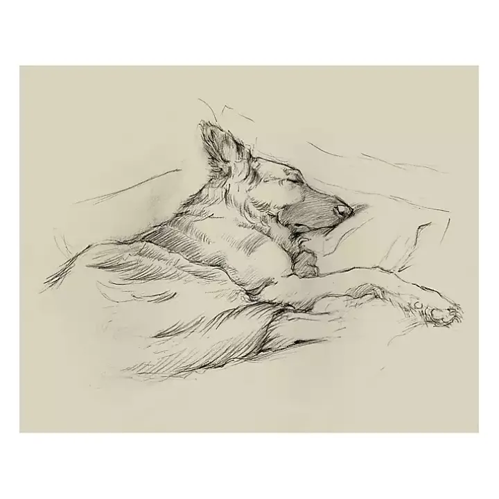 Dog Days IV Canvas Art Print