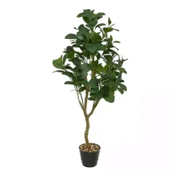 Douban Green in Ribbed Rock Planter