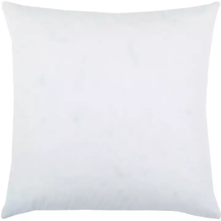 Down Fill Pillow Insert, 22 in.