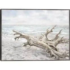 Driftwood On The Beach Framed Canvas Art Print