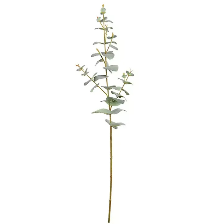 Eucalyptus Sprays, Set of 3