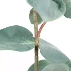 Eucalyptus Sprays, Set of 3