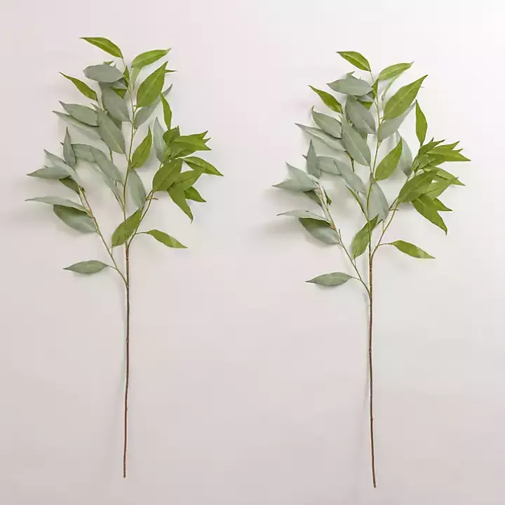 Eucalyptus Sprays, Set of 2