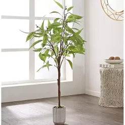 Eucalyptus Tree in Stripped Pot