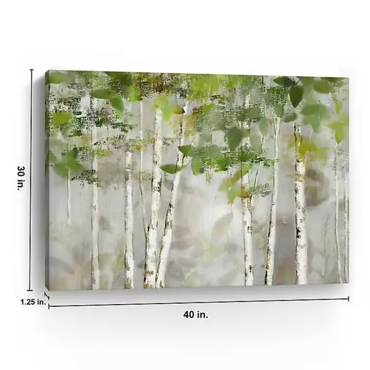 Evergreen Forest Giclee Canvas Art Print