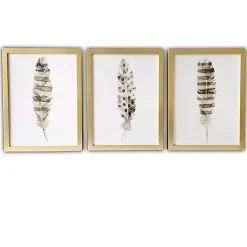 Feathers Framed Art Prints, Set of 3