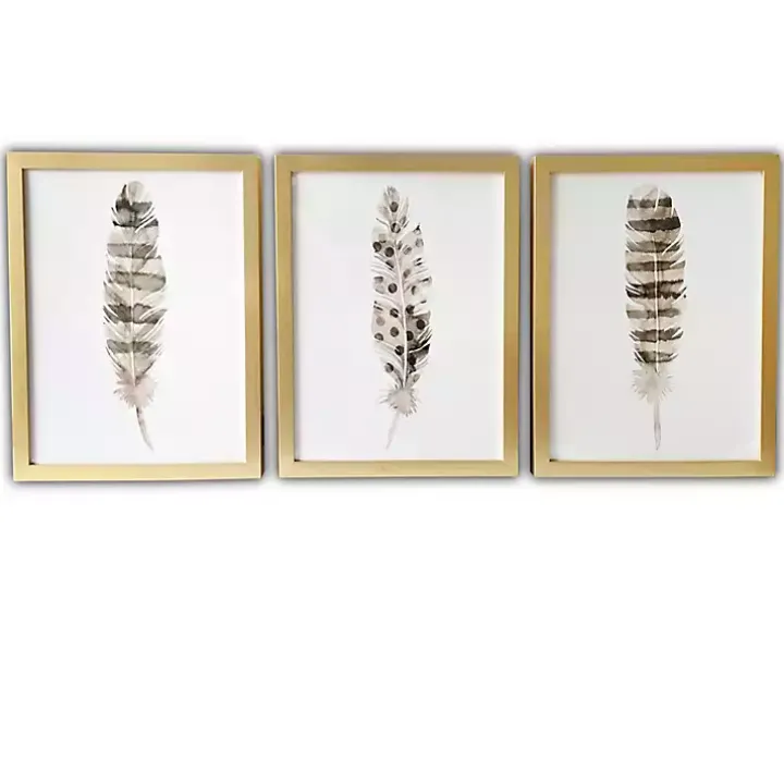 Feathers Framed Art Prints, Set of 3